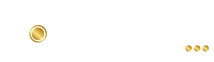 OMEGA SECURY'S